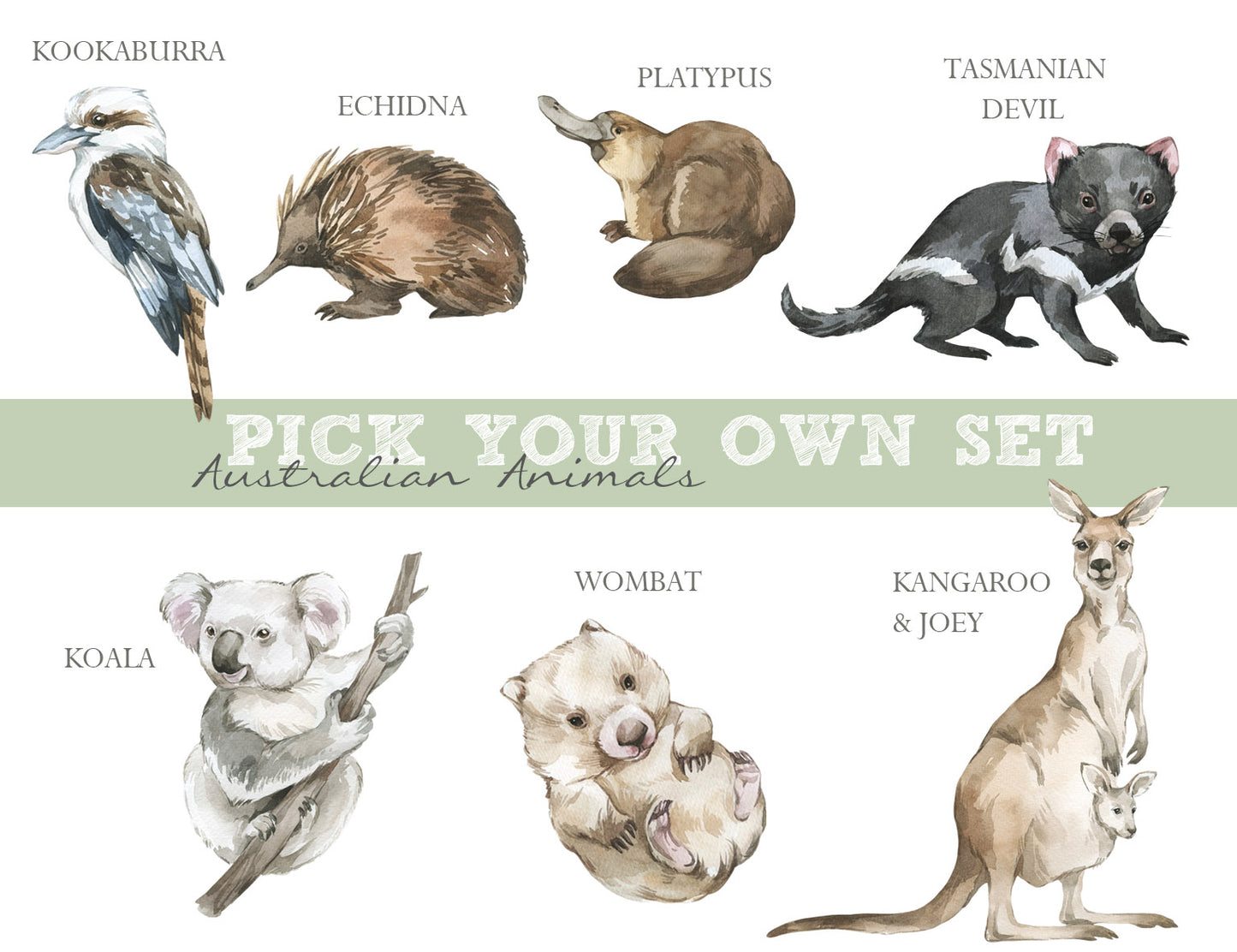 Australian Animals Wall Stickers - Pick Your Own 7 Animals! - Wall Decals Australia - Fable and Fawn