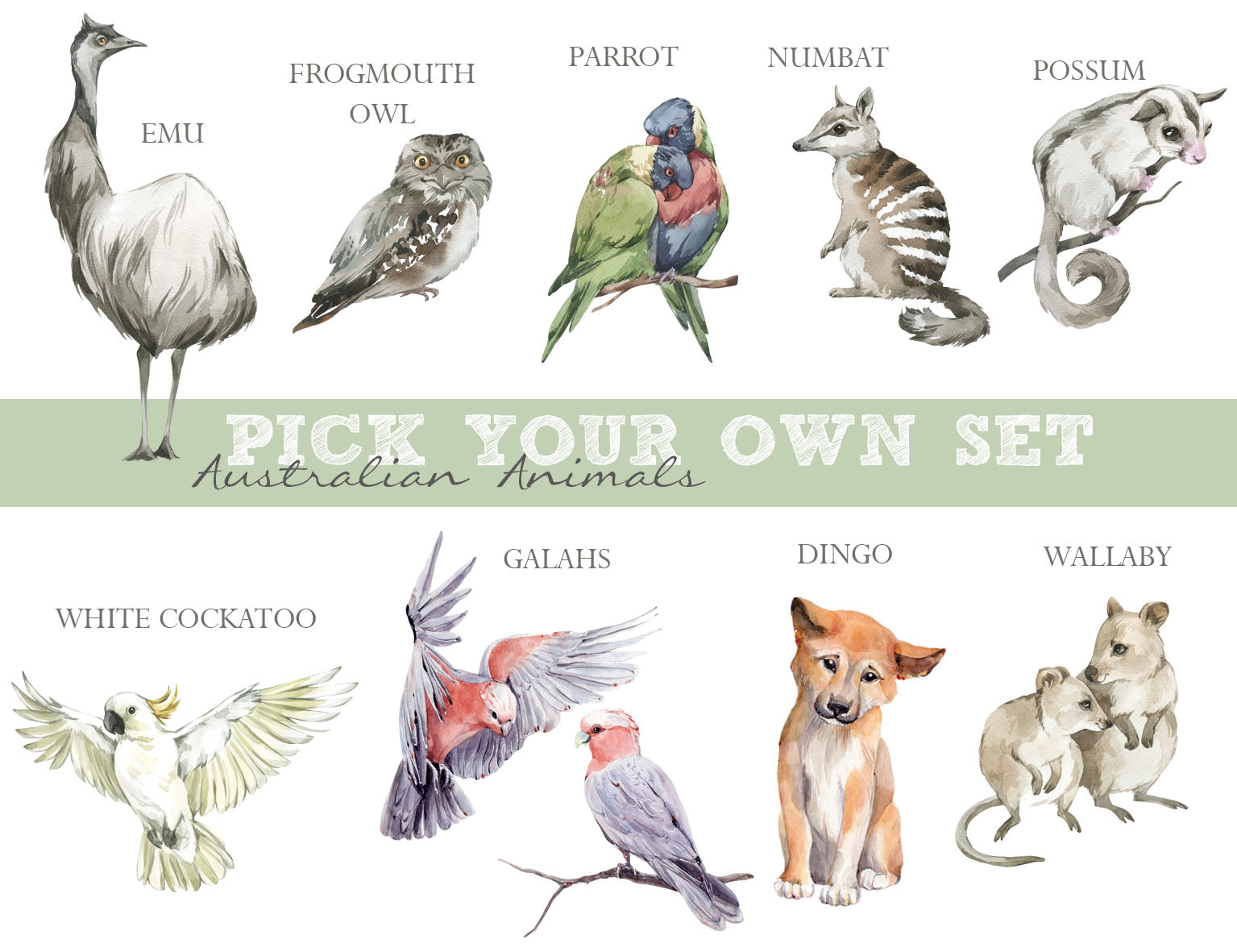 Australian Animals Wall Stickers - Pick Your Own 7 Animals! - Wall Decals Australia - Fable and Fawn