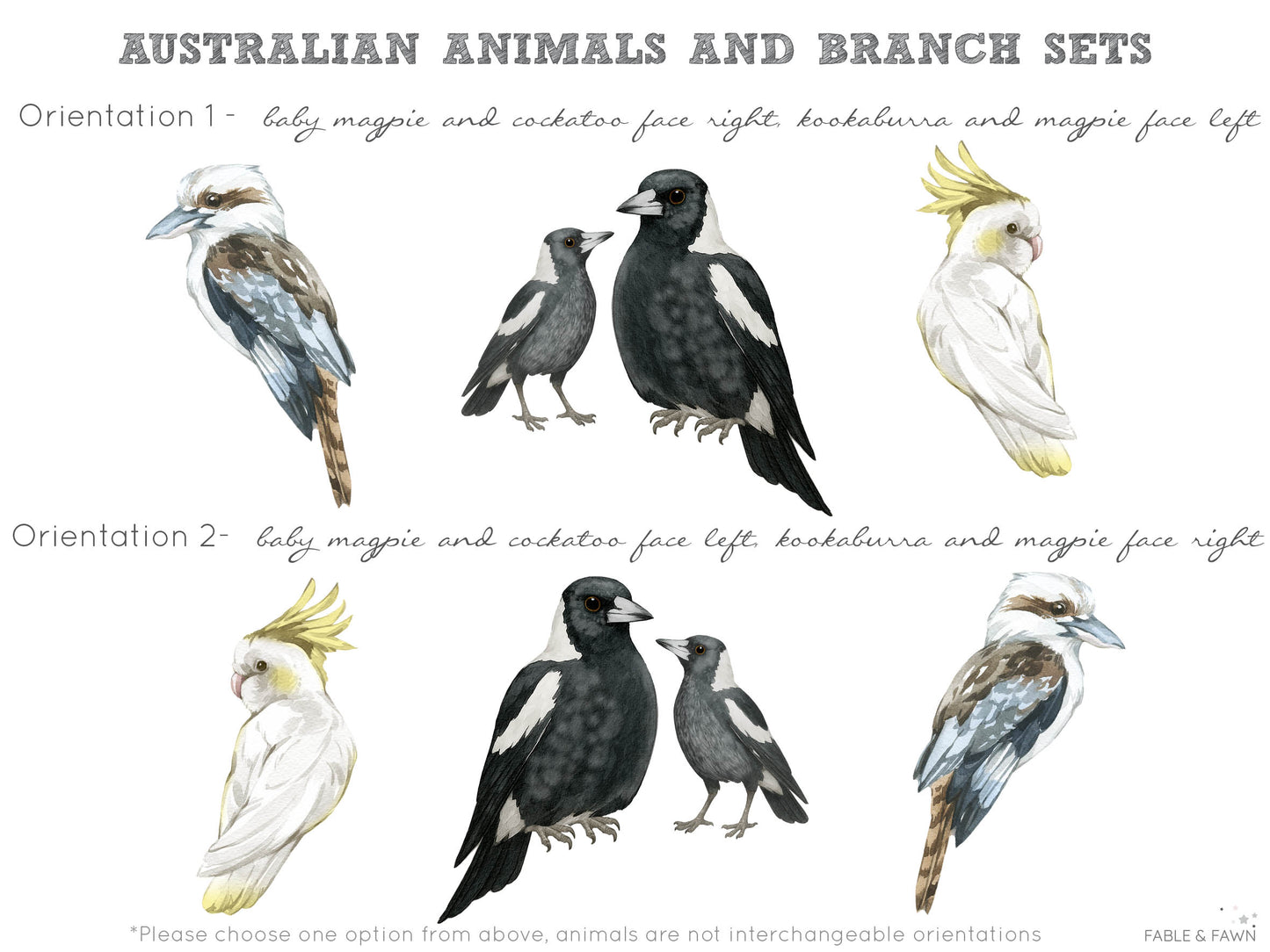 Australian Bird Wall Decals