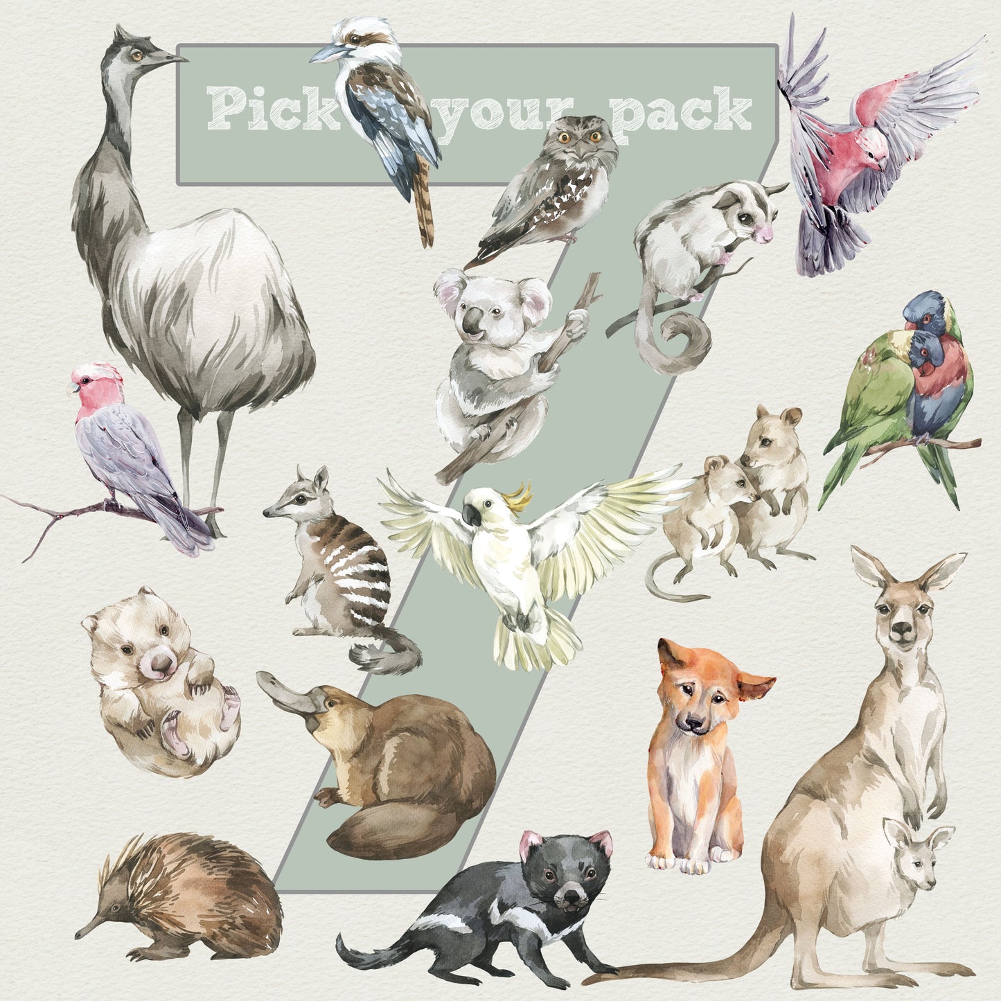 Australian Animals Wall Stickers - Pick Your Own 7 Animals! - mws_apo_generated - Fable and Fawn