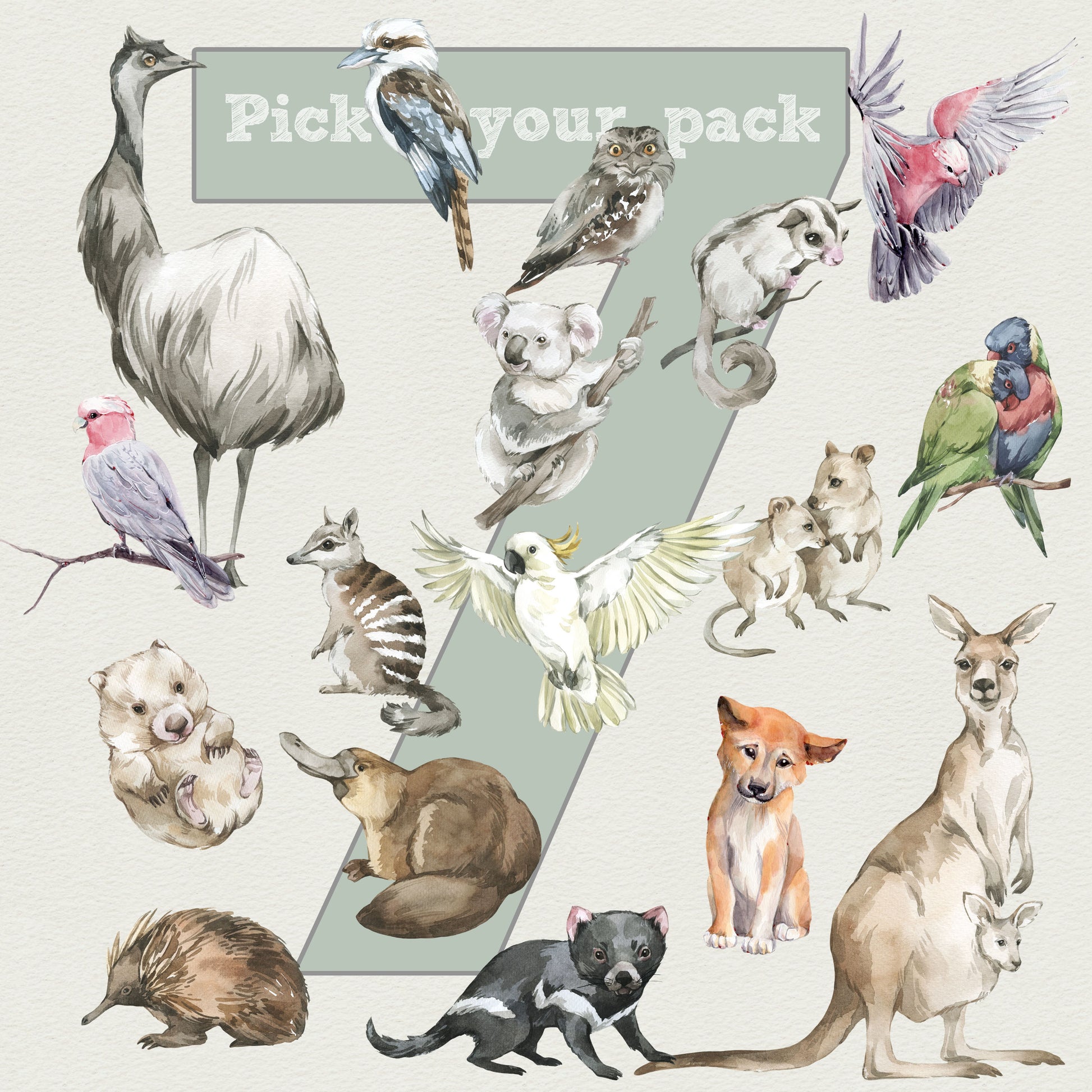 Australian Animals Wall Stickers - Pick Your Own 7 Animals! - mws_apo_generated - Fable and Fawn