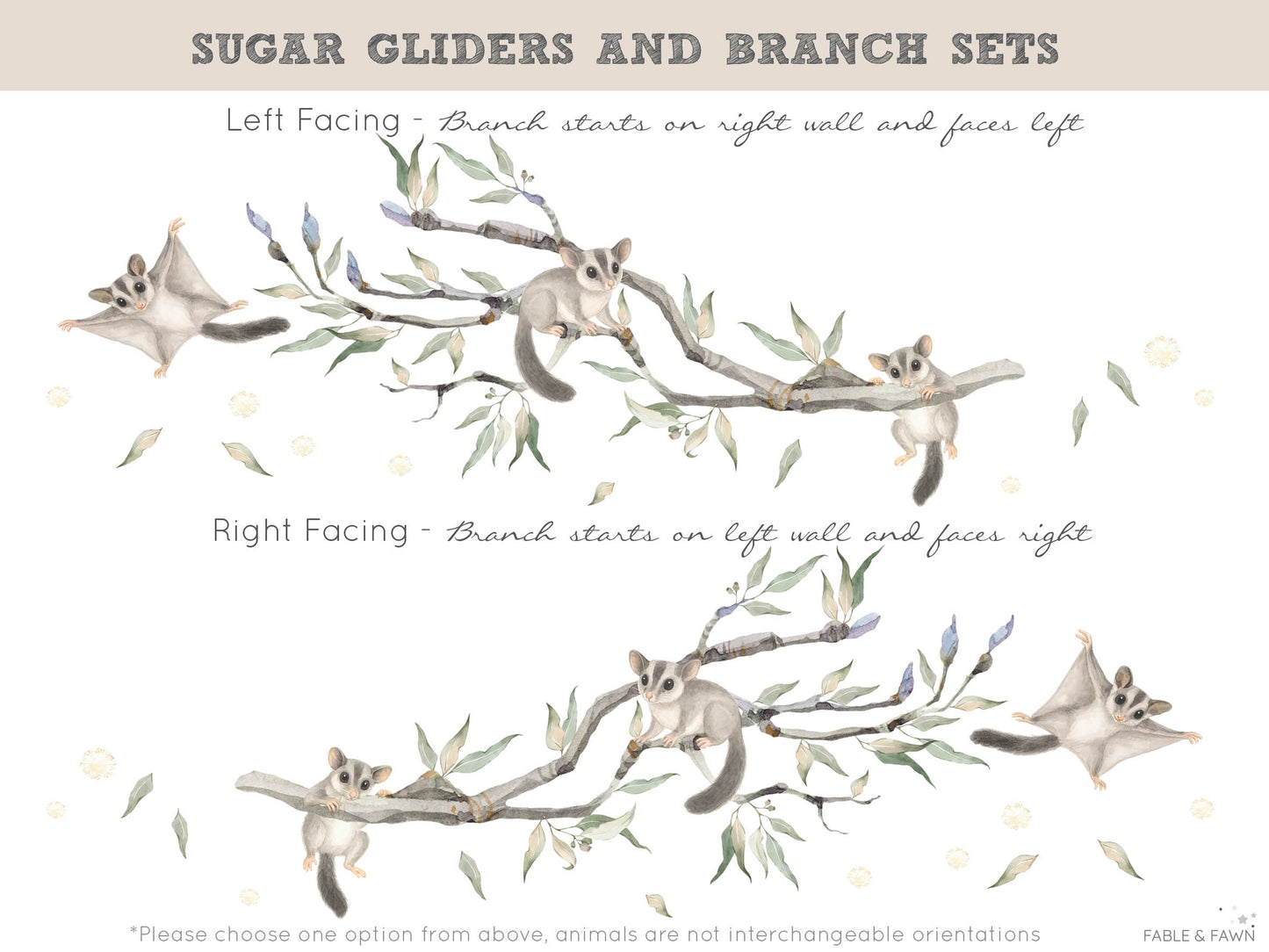 Sugar Glider Babies Set