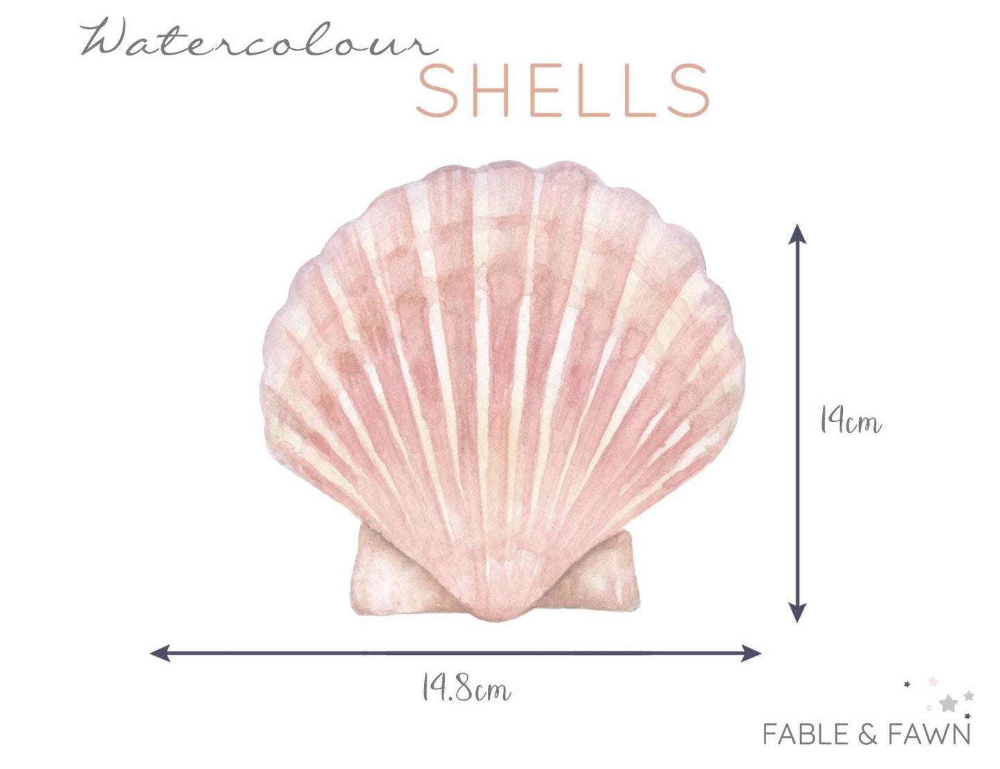 Seashell Wall Decals (Soft Olive) - Wall Decals - Fable and Fawn