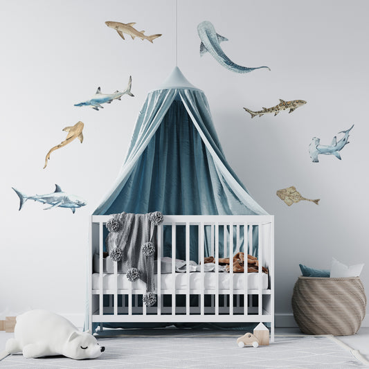 Shark Wall Stickers - Wall Decals - Fable and Fawn
