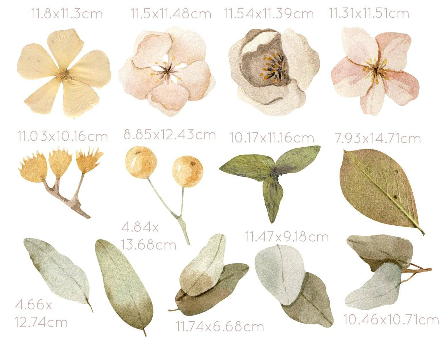 Australian Wall Decals (Bonnie) - Wall Decals - Fable and Fawn