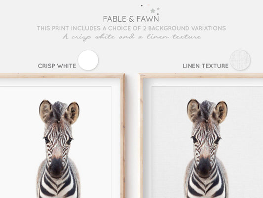 Zebra Print | Baby Animal Print | Safari Nursery - PRINT - Fable and Fawn