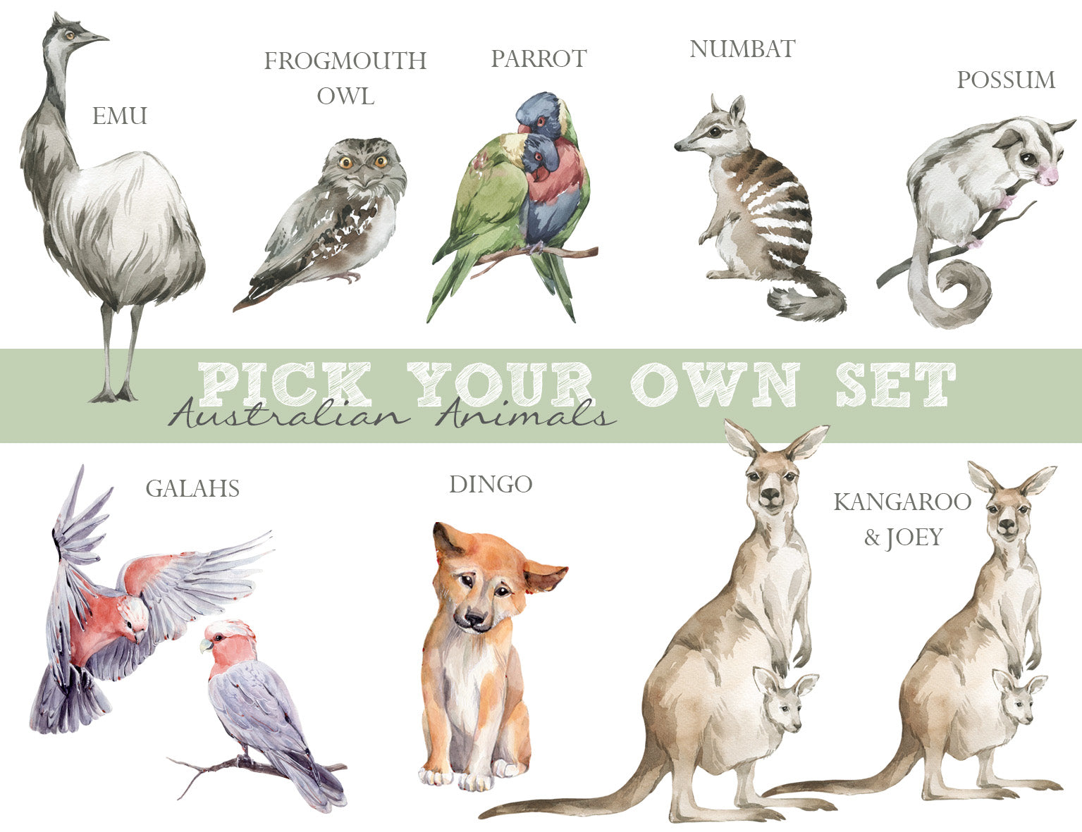Pick Your Own Animals - Australian Animal Wall Stickers