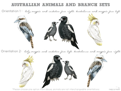 Australian Bird Wall Decals