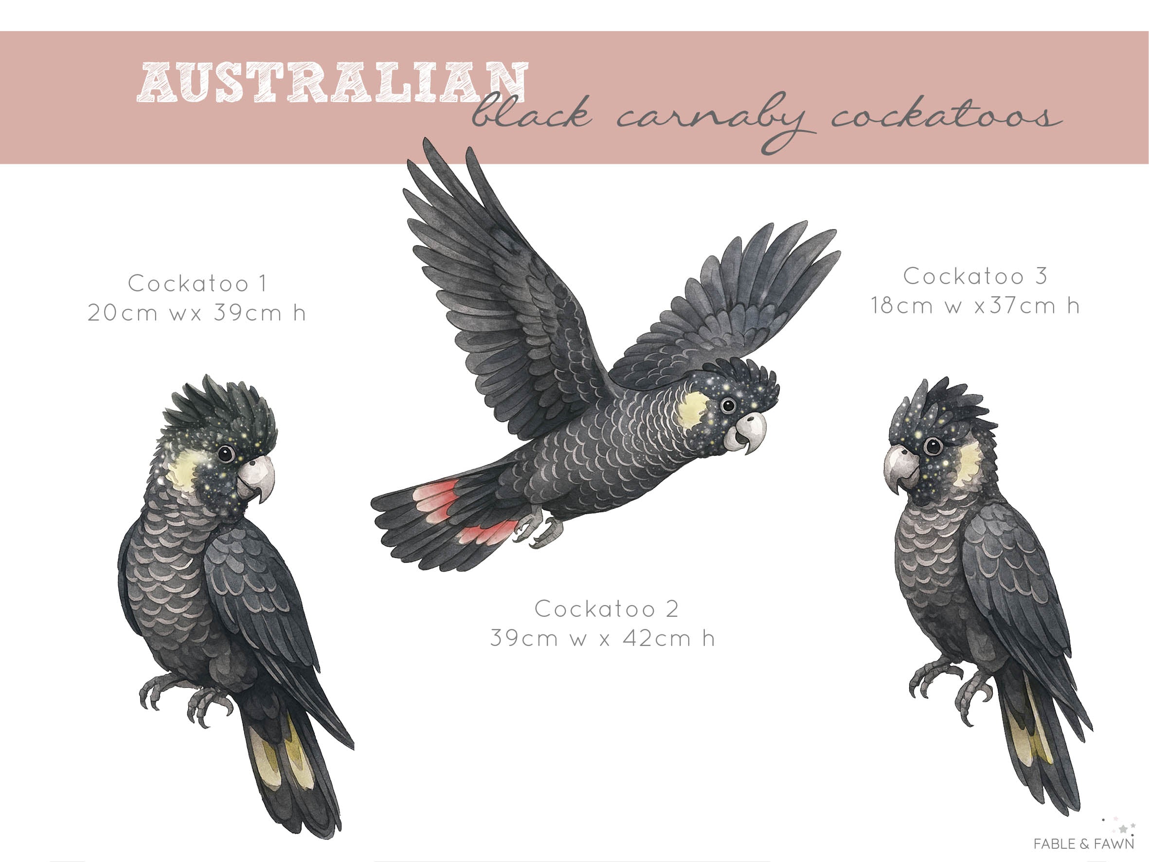 Black Cockatoo Wall Decals | Australian Nursery Wall Decals - Wall Decals - Fable and Fawn 