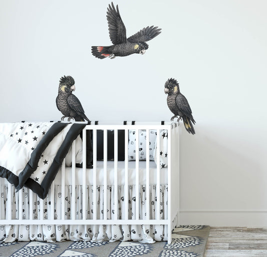 Black Cockatoo Wall Decals | Australian Nursery Wall Decals - Wall Decals - Fable and Fawn 