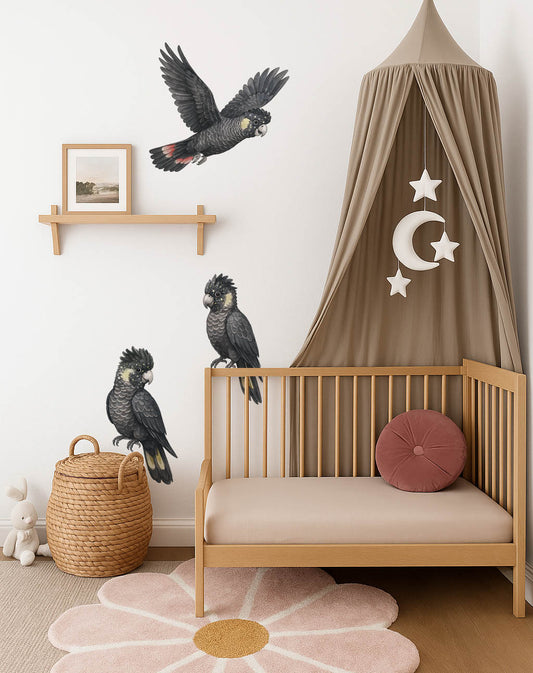 Black Cockatoo Wall Decals | Australian Nursery Wall Decals - Wall Decals - Fable and Fawn 