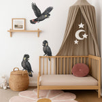 Black Cockatoo Wall Decals | Australian Nursery Wall Decals