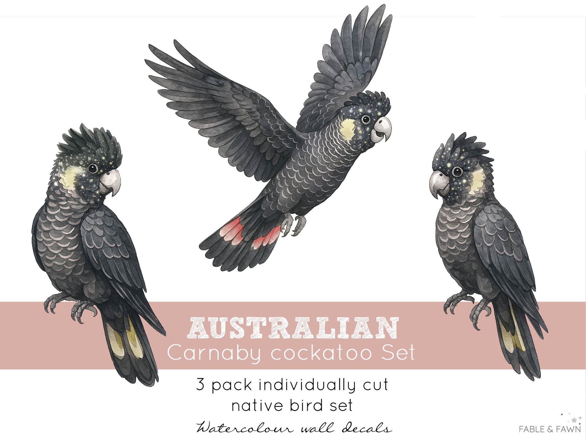 Black Cockatoo Wall Decals | Australian Nursery Wall Decals - Wall Decals - Fable and Fawn 