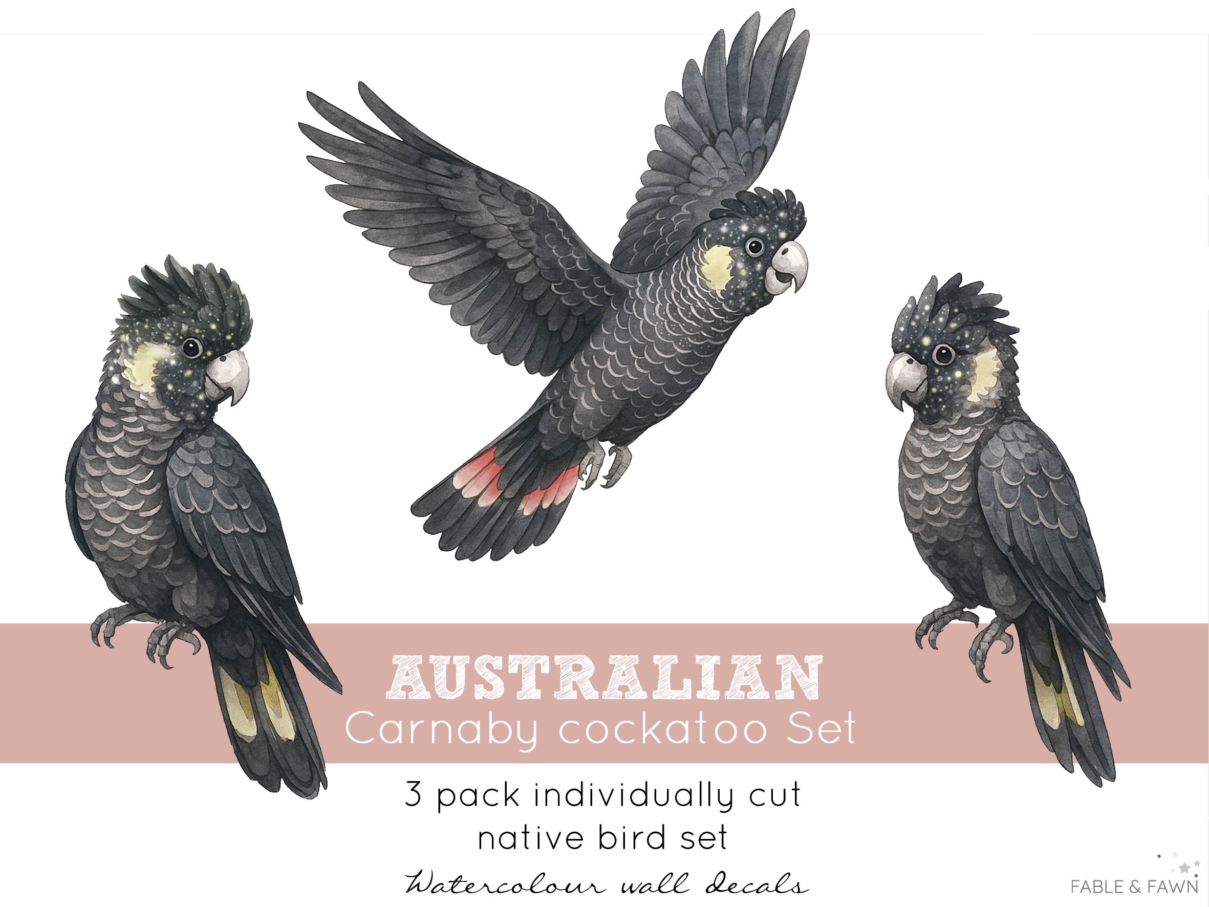 Black Cockatoo Wall Decals | Australian Nursery Wall Decals - Wall Decals - Fable and Fawn 
