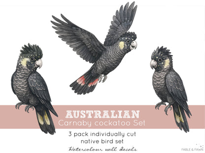 Black Cockatoo Wall Decals | Australian Nursery Wall Decals - Wall Decals - Fable and Fawn 