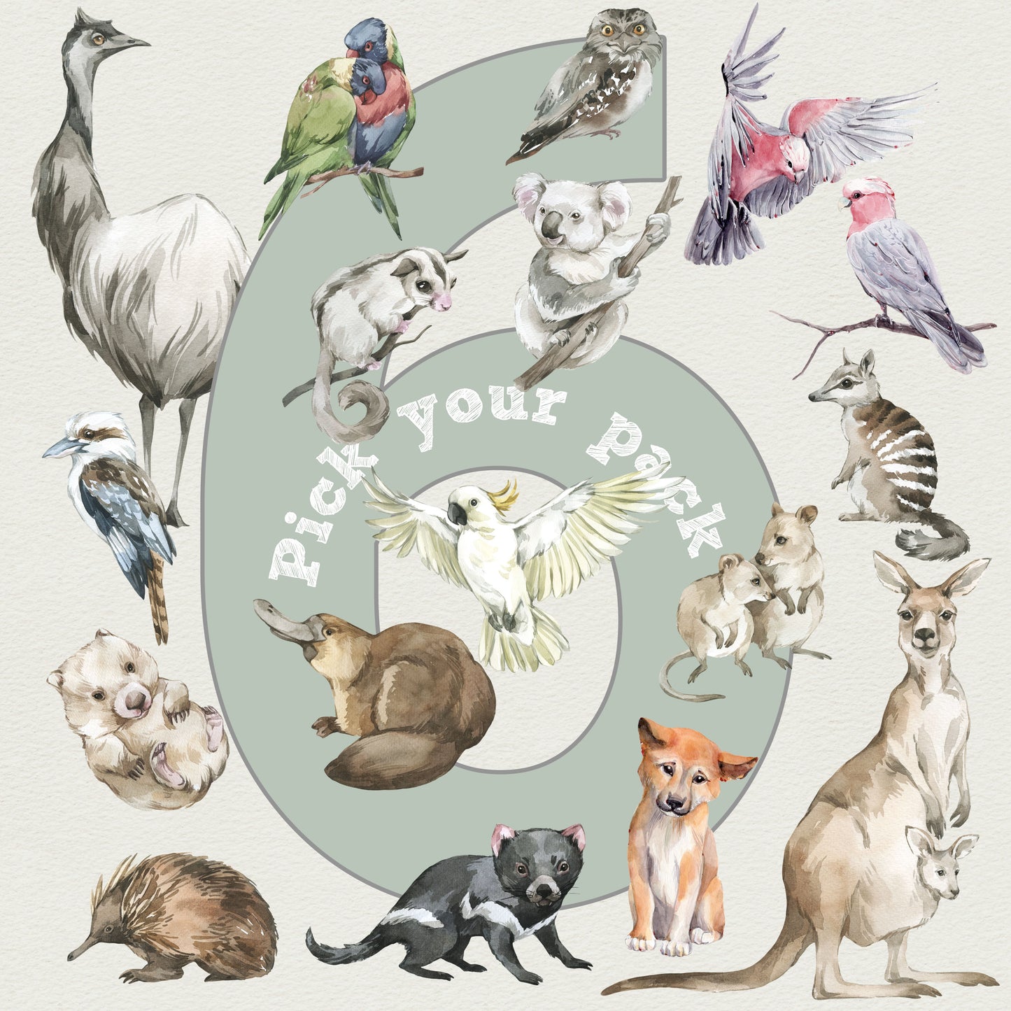 Pick 6 Animals! - Australian Animal Wall Stickers - Wall Decals Australia - Fable and Fawn