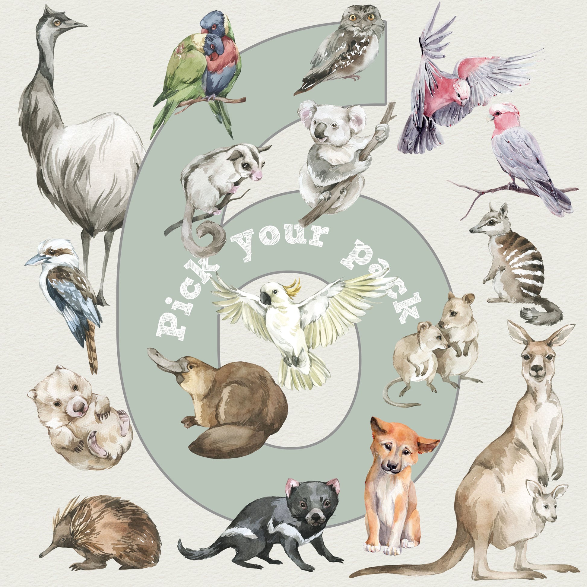 Pick 6 Animals! - Australian Animal Wall Stickers - Wall Decals Australia - Fable and Fawn