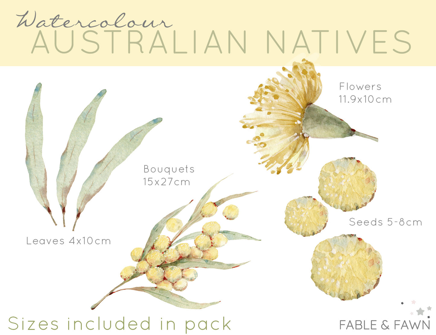 Australian Native Decals - Wattle