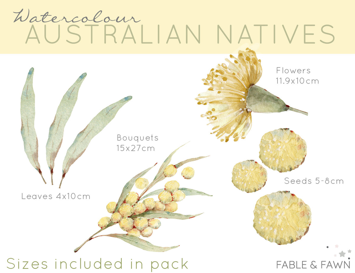 Australian Native Decals - Wattle