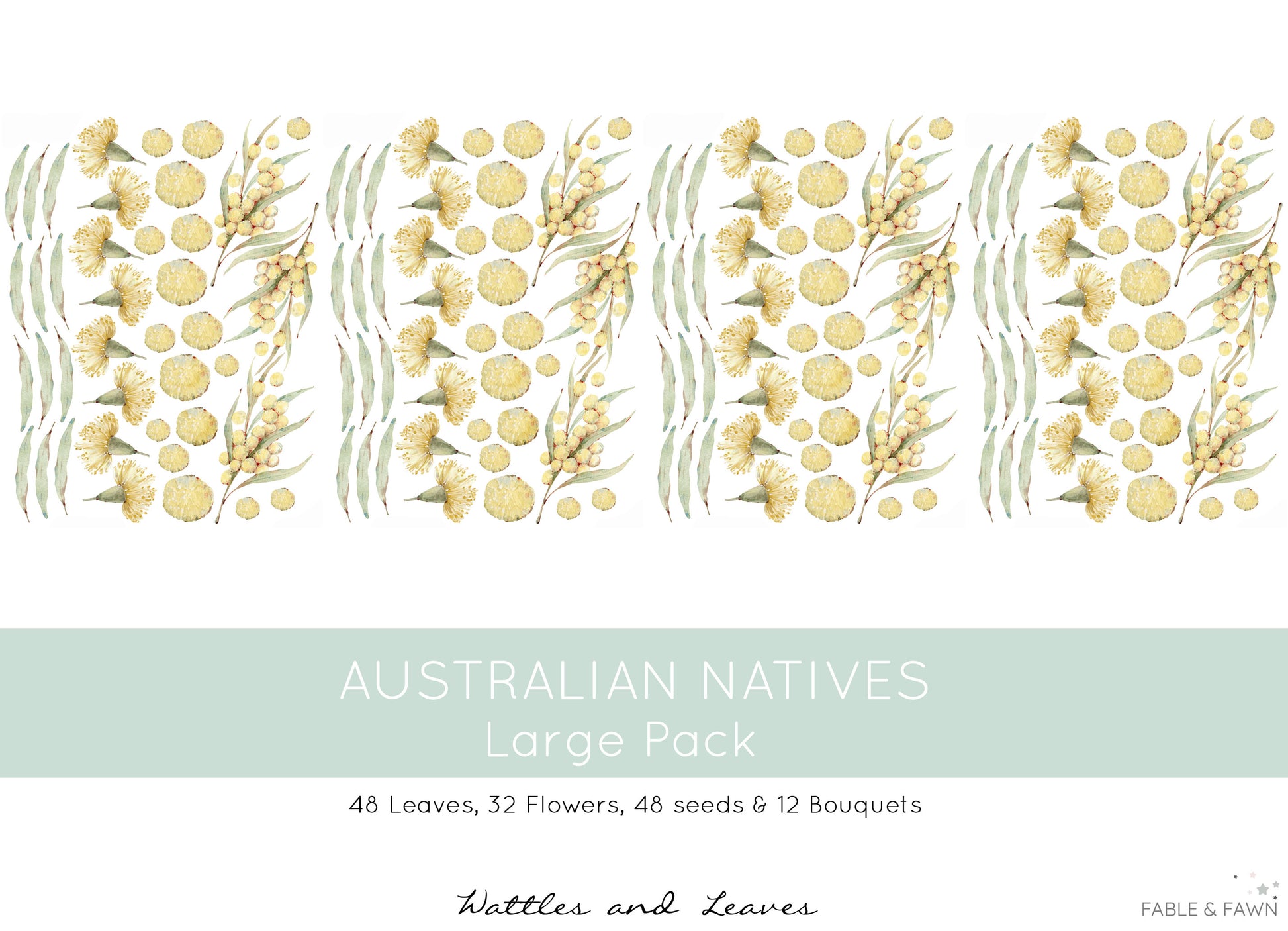 Australian Native Decals - Wattle - Wall Decals Australia - Fable and Fawn 