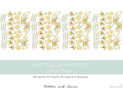 Australian Native Decals - Wattle - Wall Decals Australia - Fable and Fawn 
