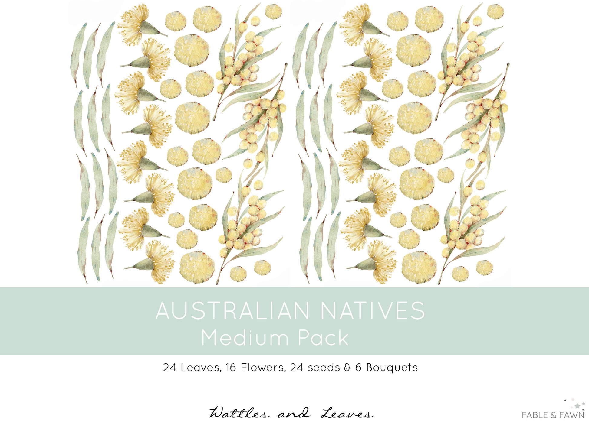 Australian Native Decals - Wattle - Wall Decals Australia - Fable and Fawn 