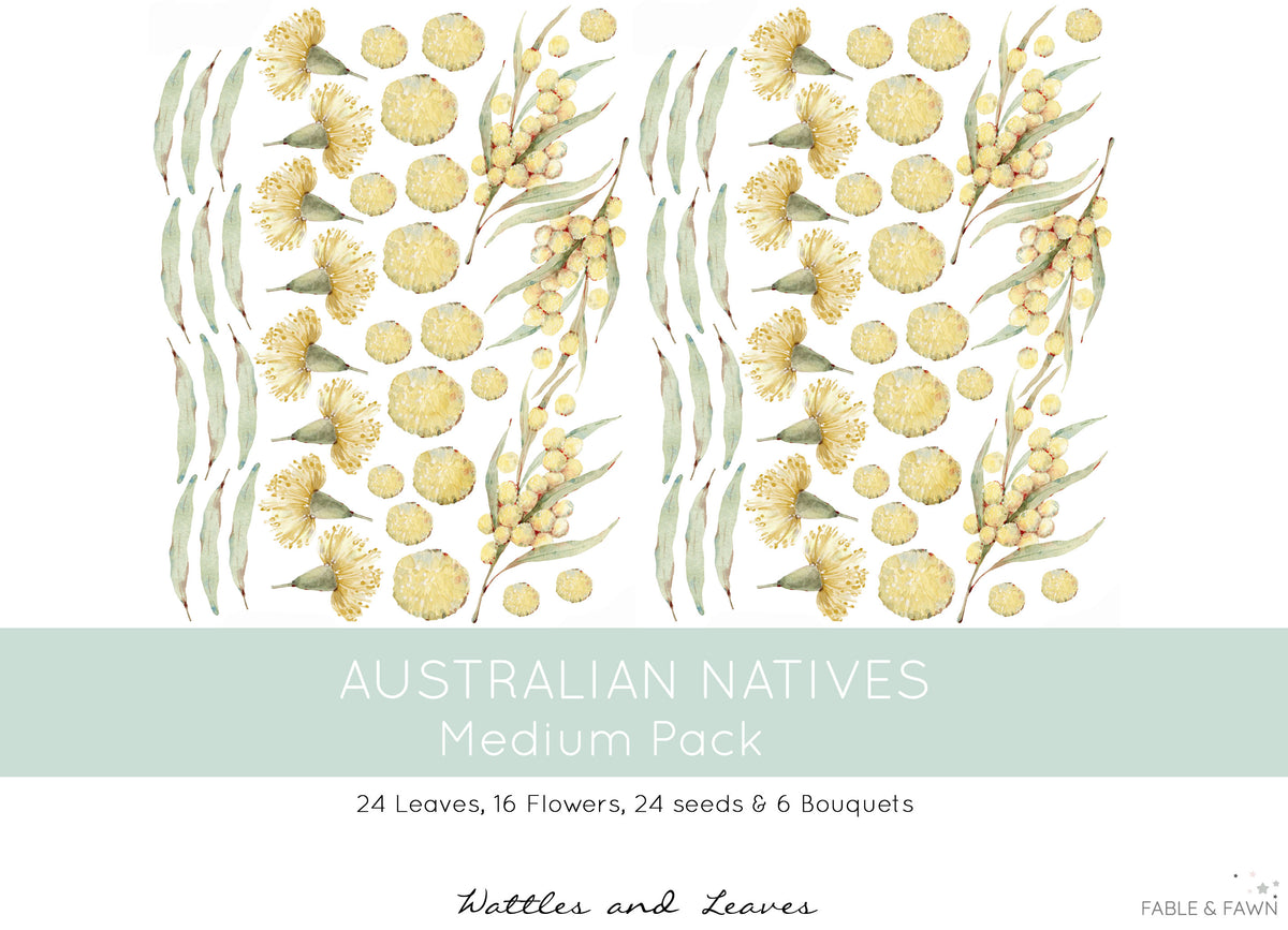 Australian Native Decals - Wattle - Wall Decals Australia - Fable and Fawn