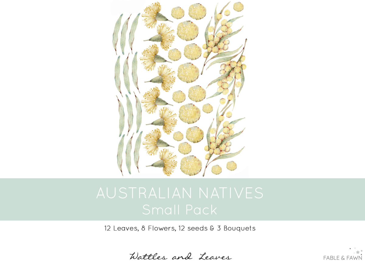 Australian Native Decals - Wattle - Wall Decals Australia - Fable and Fawn