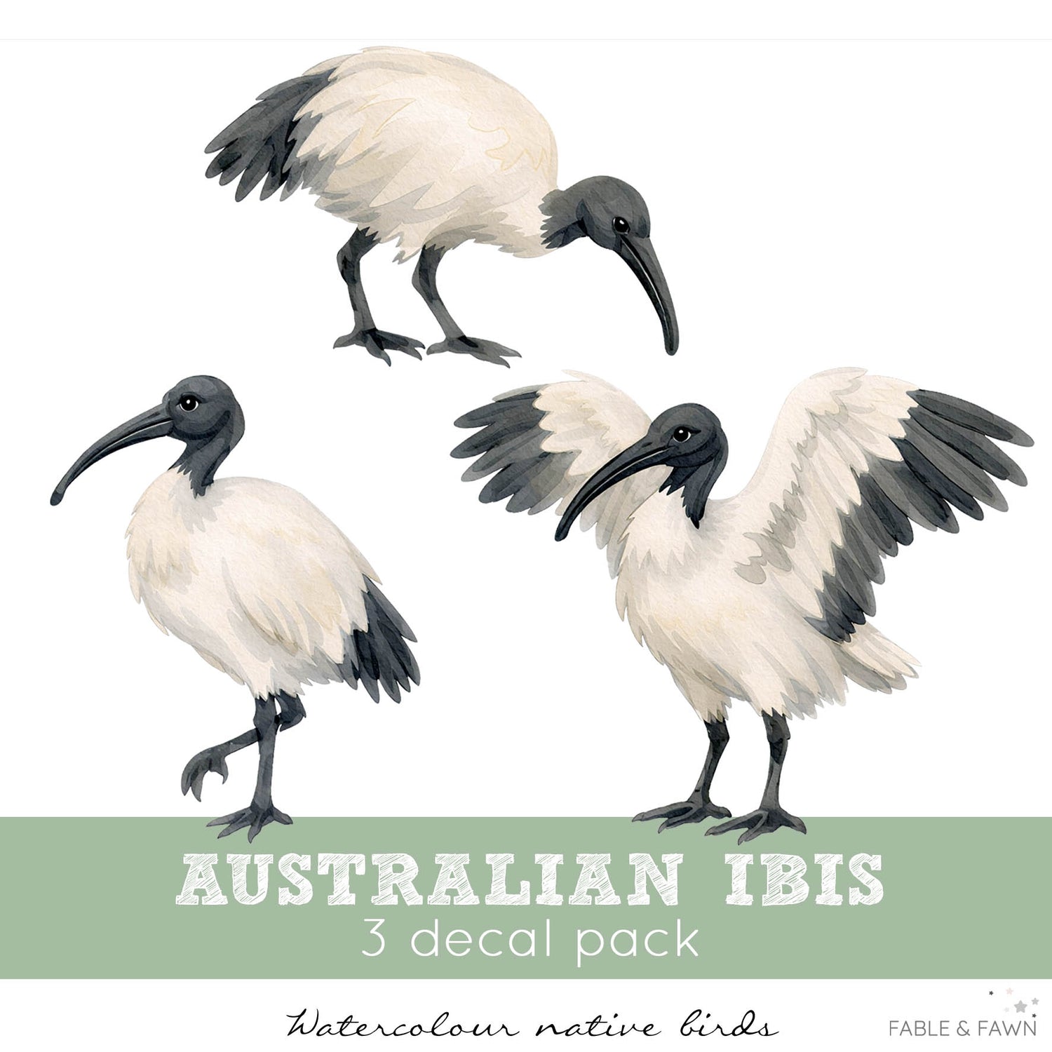 Three Bin Chicken Bird Wall Decals featuring Australian Ibis in standing, foraging and flying poses for Australian nurseries, bedrooms and playrooms.