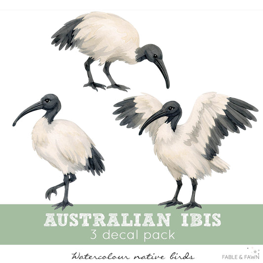 Three Bin Chicken Bird Wall Decals featuring Australian Ibis in standing, foraging and flying poses for Australian nurseries, bedrooms and playrooms.