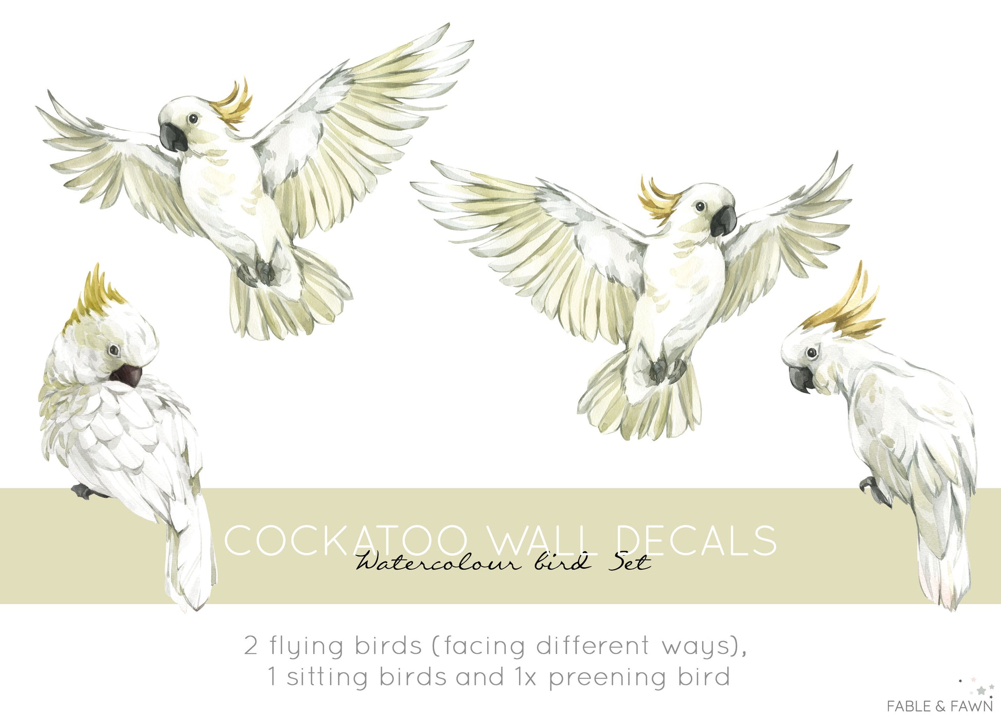 Cockatoo Bird Wall Decals - Wall Decals Australia - Fable and Fawn 