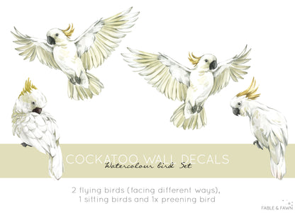 Cockatoo Bird Wall Decals - Wall Decals Australia - Fable and Fawn 