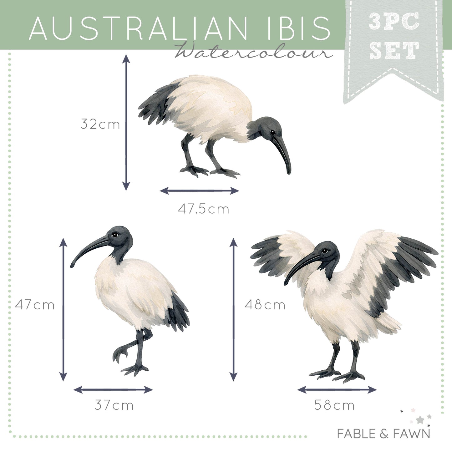 Three Bin Chicken Bird Wall Decals featuring Australian Ibis in standing, foraging and flying poses for Australian nurseries, bedrooms and playrooms.