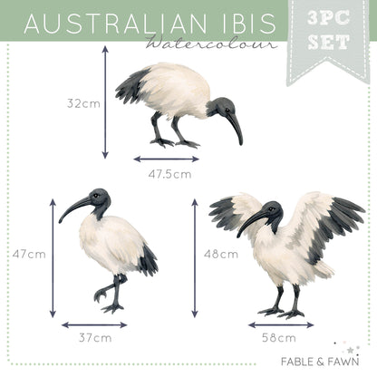 Three Bin Chicken Bird Wall Decals featuring Australian Ibis in standing, foraging and flying poses for Australian nurseries, bedrooms and playrooms.