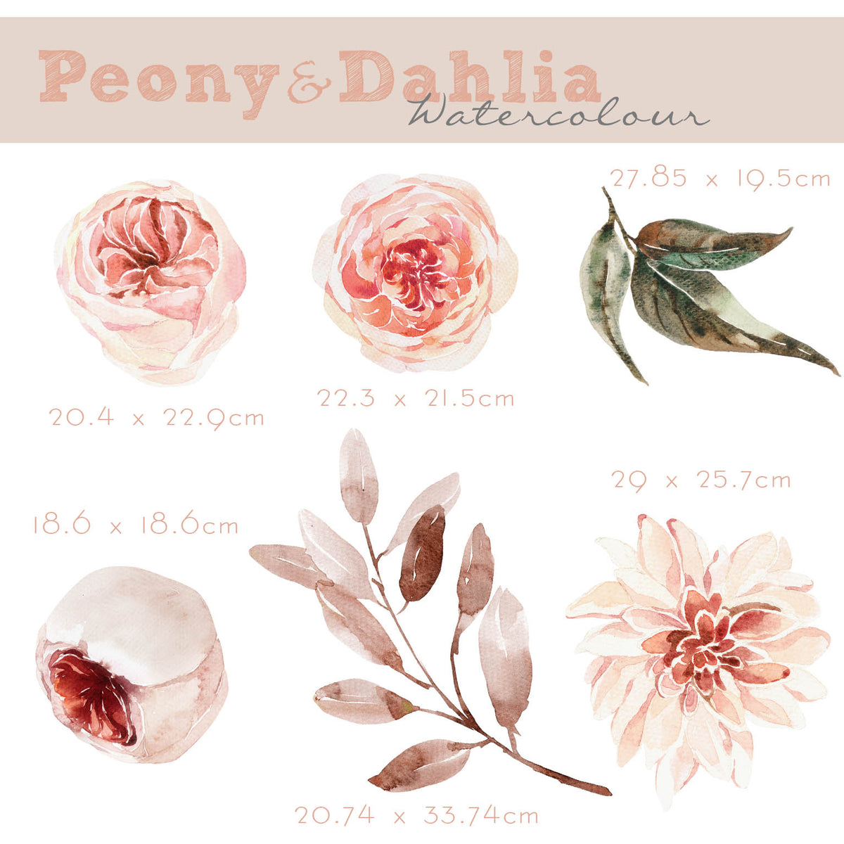 Peony & Dahlia - Flower Wall Decals