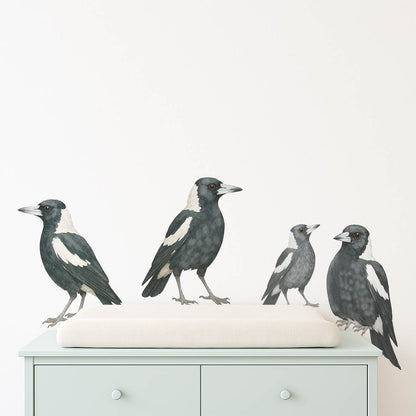 Magpie wall decals featuring four removable bird decals for walls, including two adult magpies, one juvenile and one fledgling for Australian nurseries and children's bedrooms.
