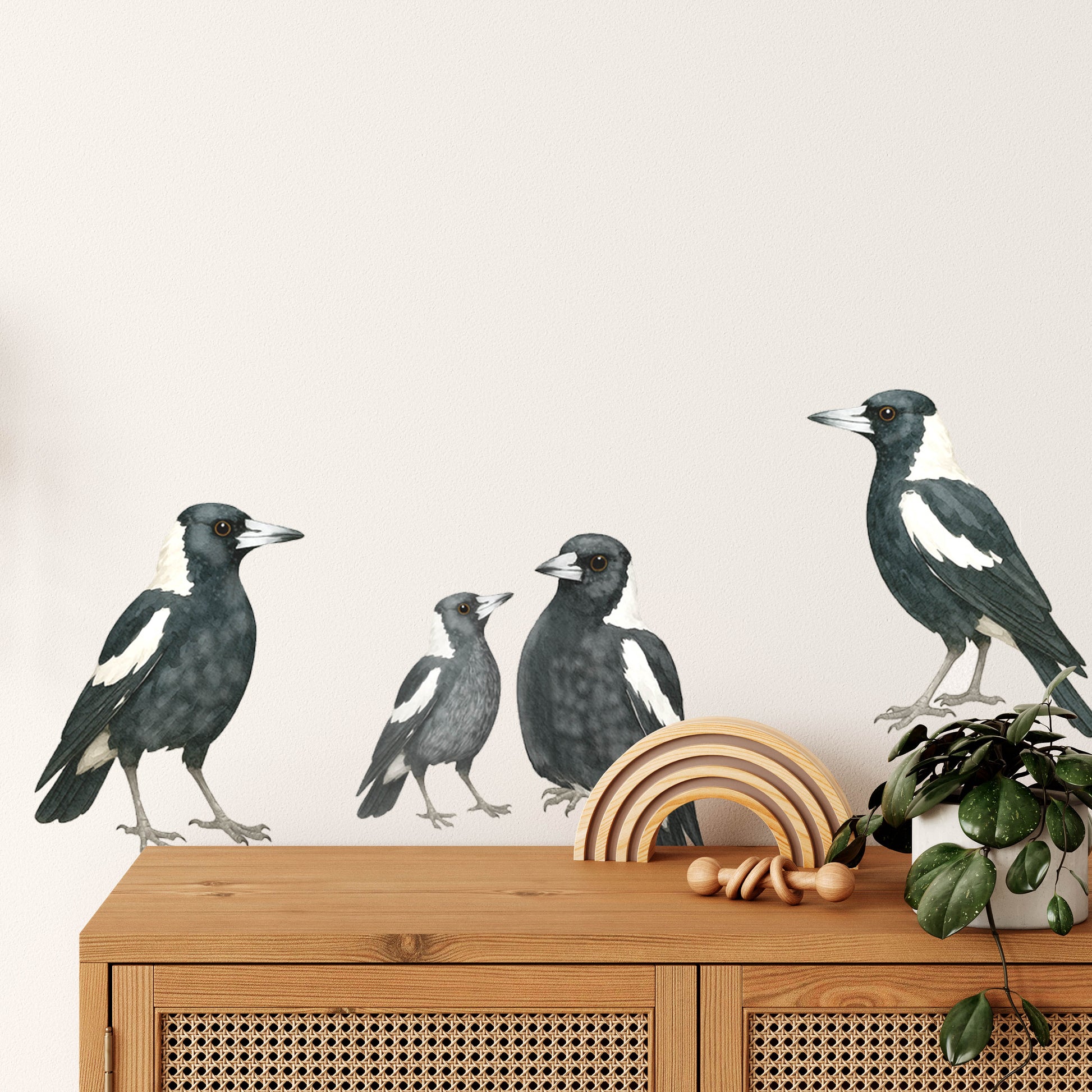 Magpie wall decals featuring four removable bird decals for walls, including two adult magpies, one juvenile and one fledgling for Australian nurseries and children's bedrooms.