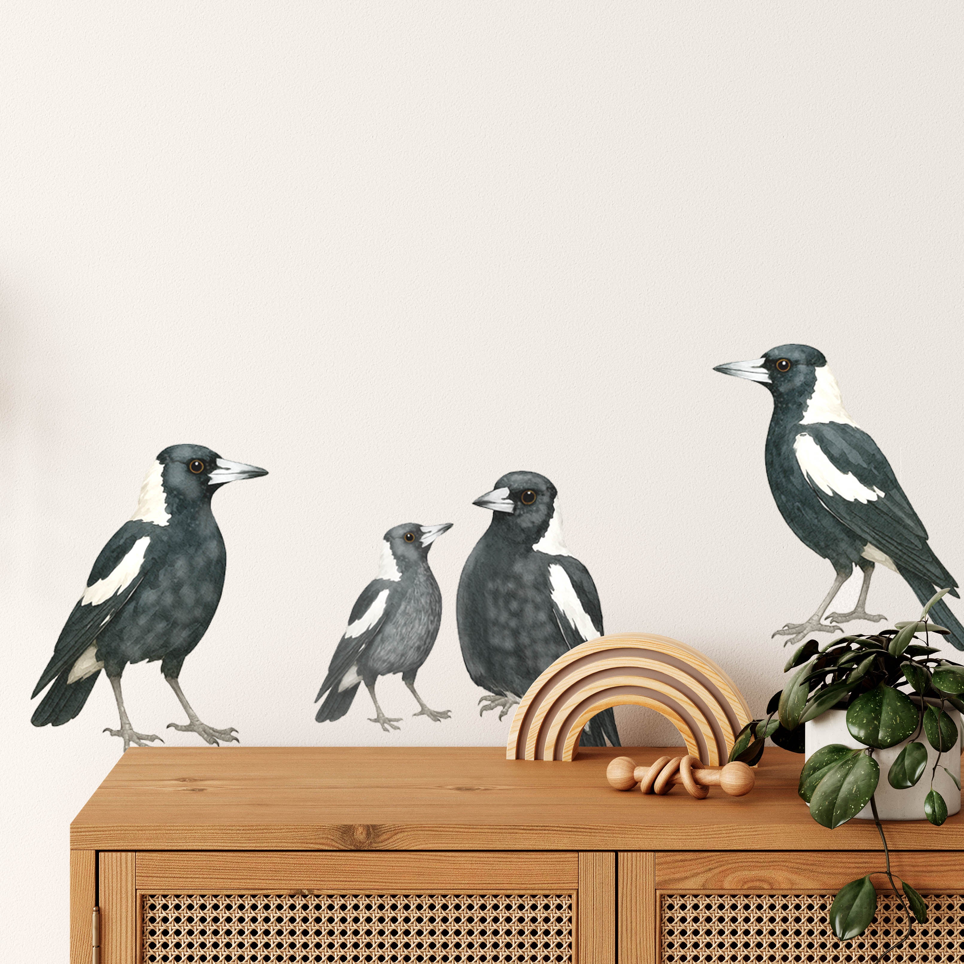 Magpie wall decals featuring four removable bird decals for walls, including two adult magpies, one juvenile and one fledgling for Australian nurseries and children's bedrooms.