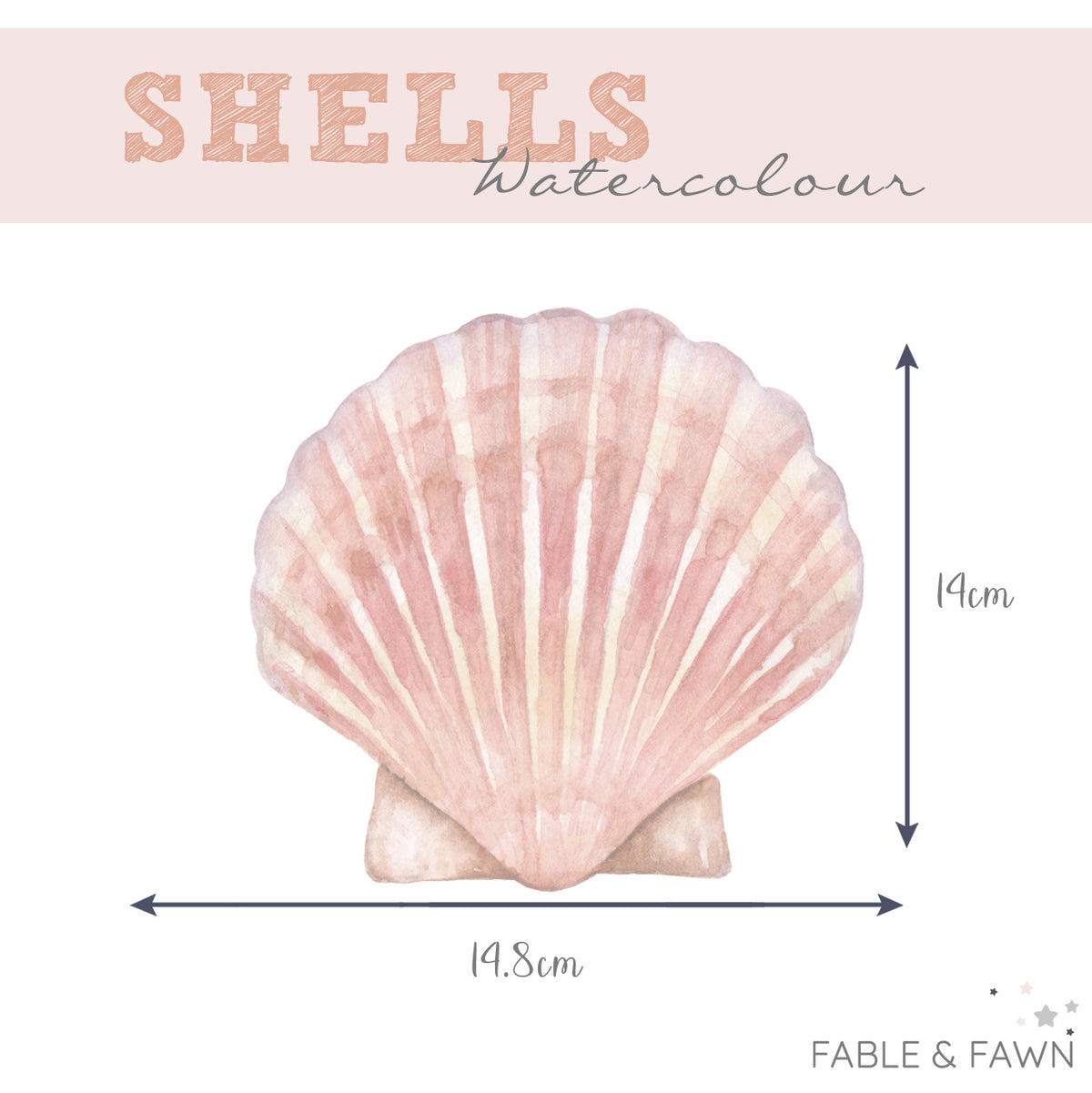Seashell Wall Decals (Soft Olive) - Wall Decals Australia - Fable and Fawn 