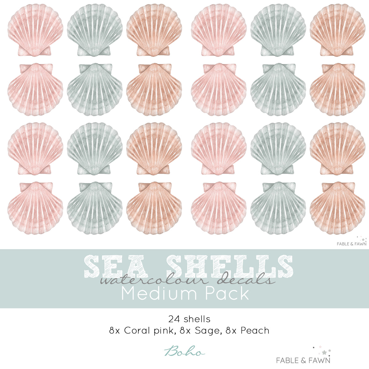 Seashell Wall Decals (Boho Set) - Wall Decals Australia - Fable and Fawn 