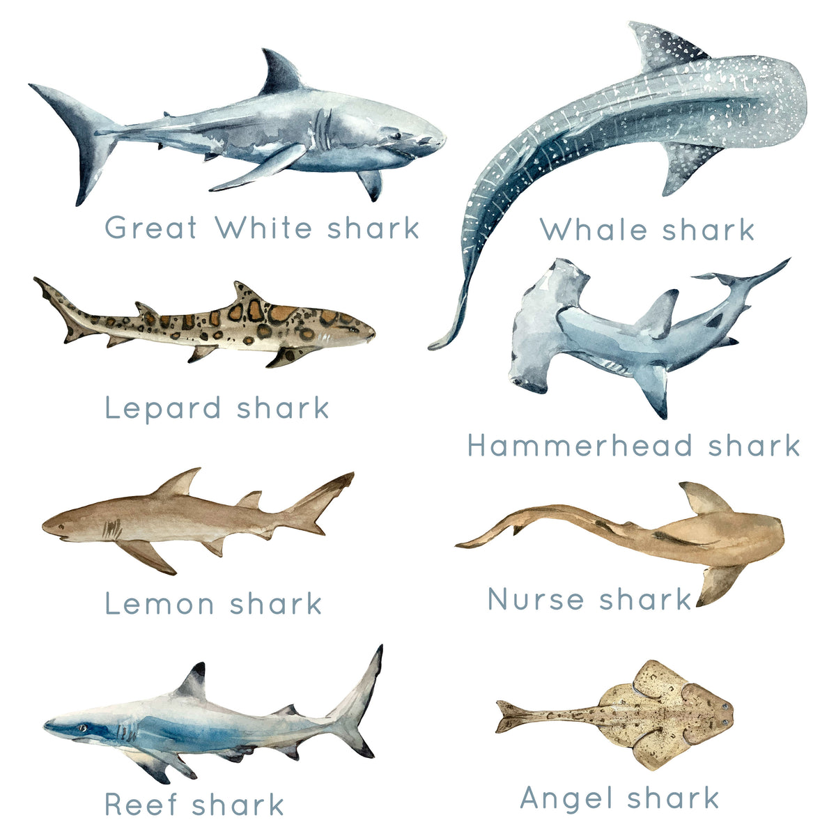 Shark Wall Stickers