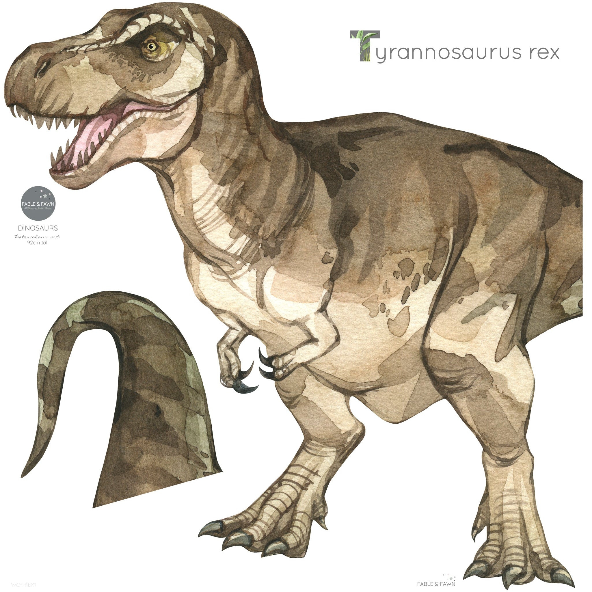 Trex Dinosaur Wall Decal - Fable and Fawn