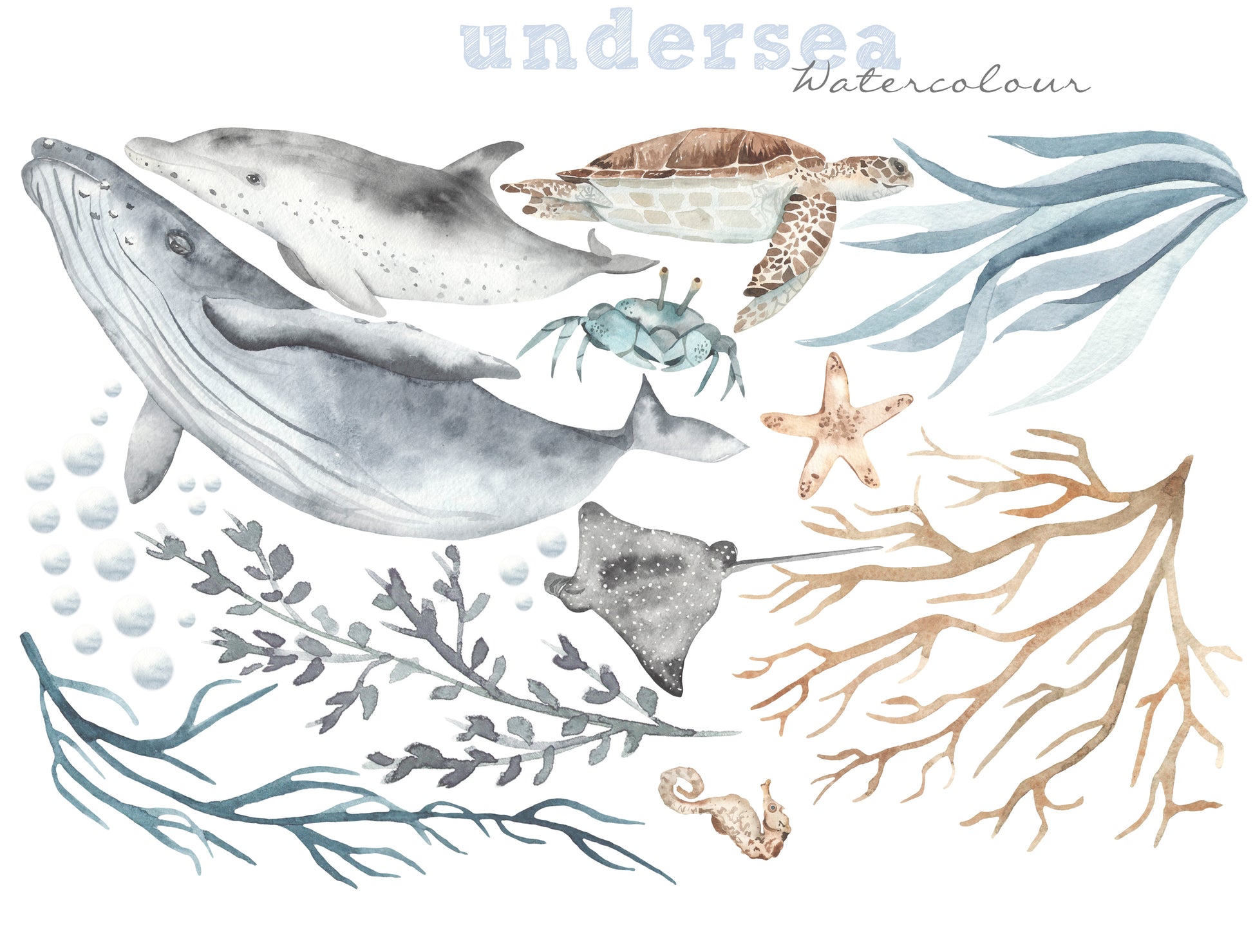 Ocean Wall Decal Set - Wall Decals - Fable and Fawn 