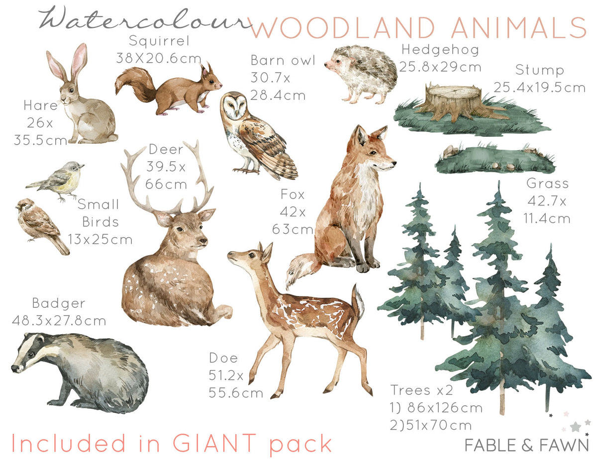 Forest Animal Wall Decals - Wall Decals Australia - Fable and Fawn