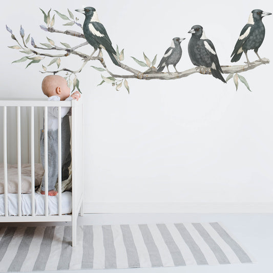 Magpies on Gum Tree Branch