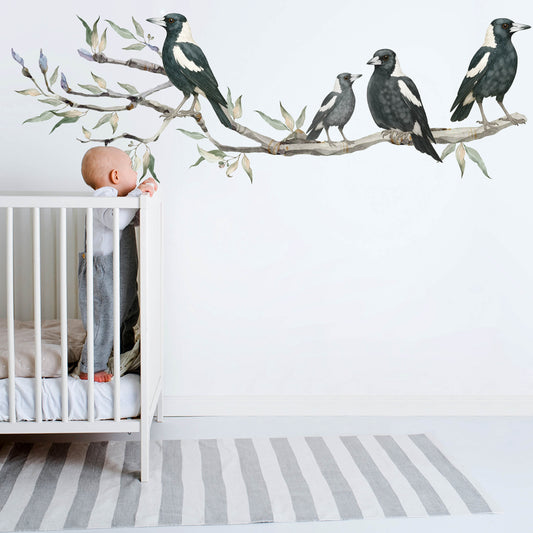 Magpies on Gum Tree Branch