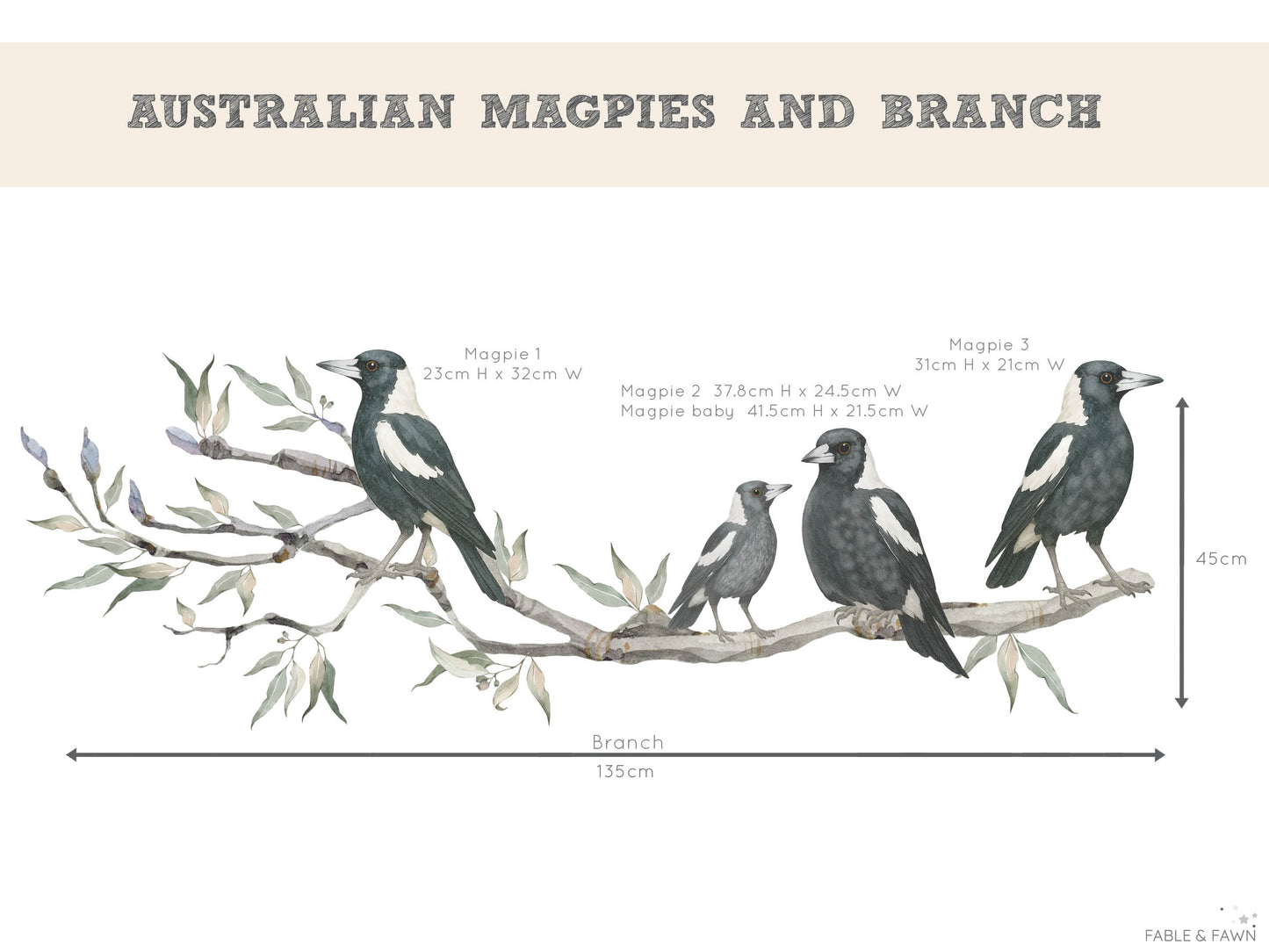 Magpies on Gum Tree Branch