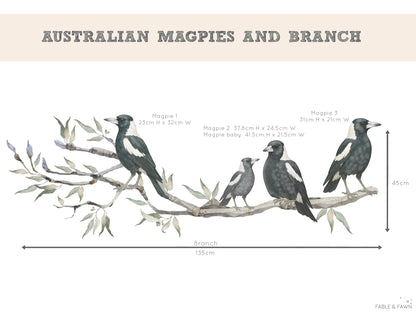 Magpies on Gum Tree Branch - Wall Decals Australia - Fable and Fawn 