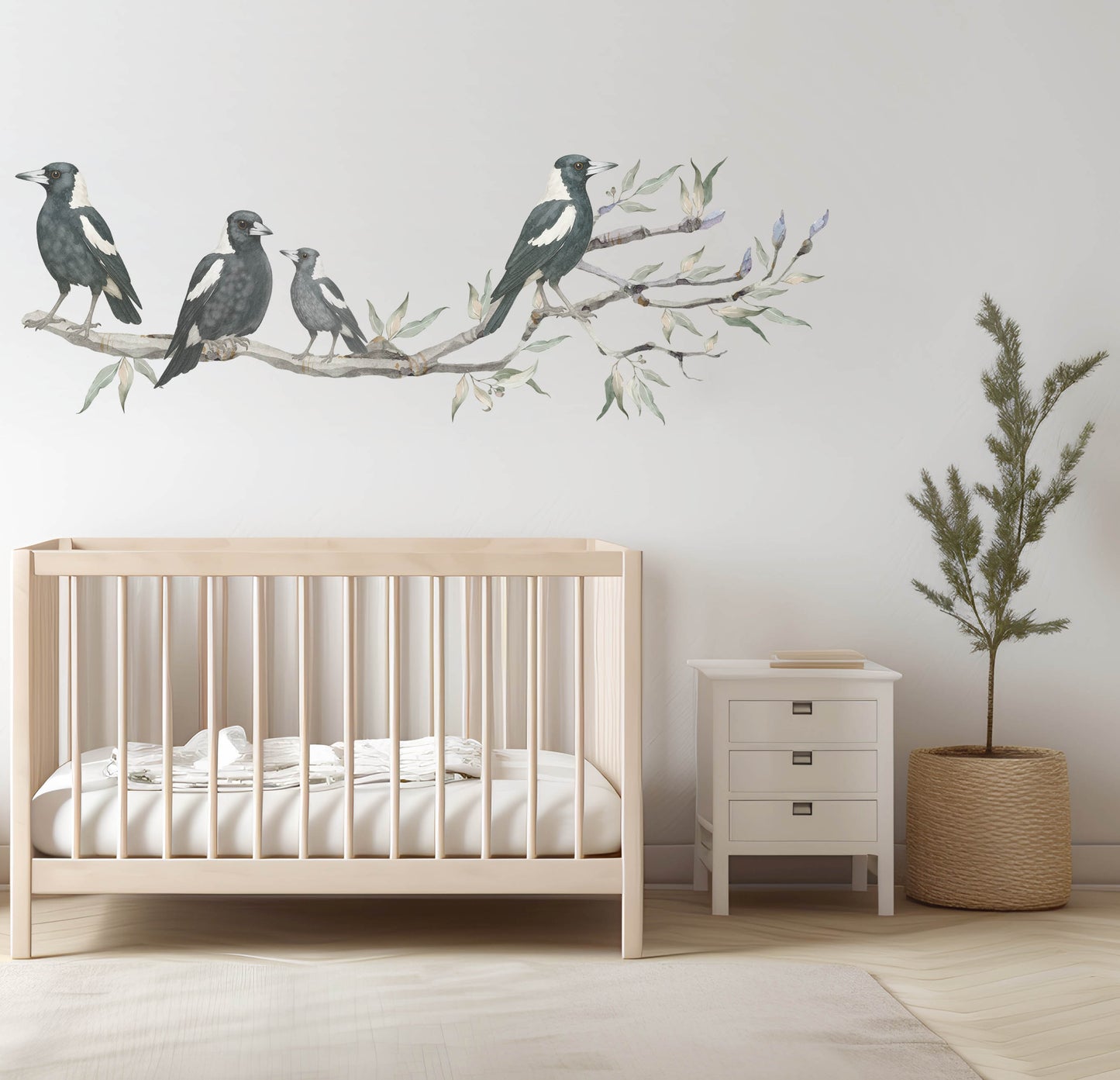 Magpies on Gum Tree Branch