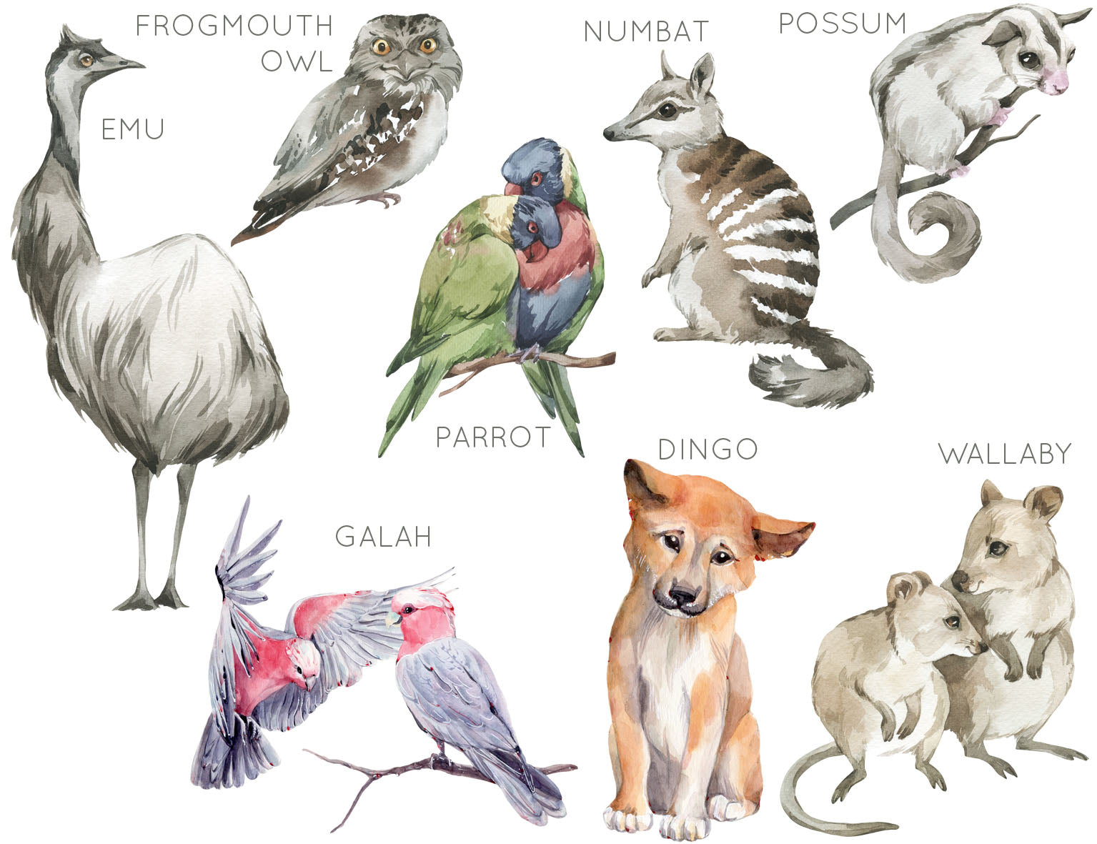 Australian Animals Wall Stickers - Pick Your Own Animals! - Wall Decals - Fable and Fawn 